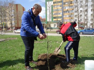 25 округ  День древонасаждения