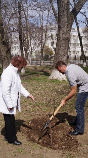 Акция "Дерево памяти" в округе №2