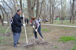 Итоги городского субботника: 138 кубометров мусора вывезено из парка «Победа»