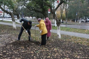 На бульваре Тягливого посадили молодые клены
