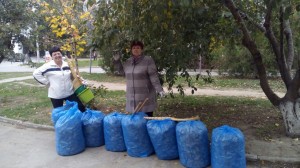 Субботник в округе №14