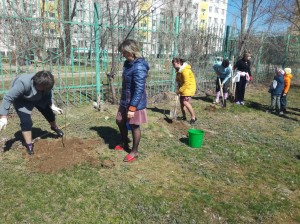 Рябинова аллея появилась в детском саду Гусельки