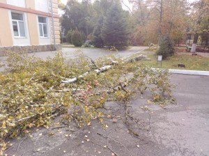 Первый округ Всегда готов помочь