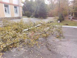Первый округ Всегда готов помочь