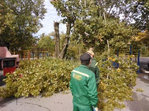 Первый округ Помощь школе