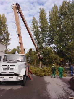 Первый округ Помощь школе