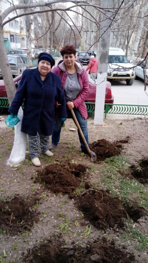 Новые клумбы в 8 округе