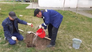 25 округ  День древонасаждения