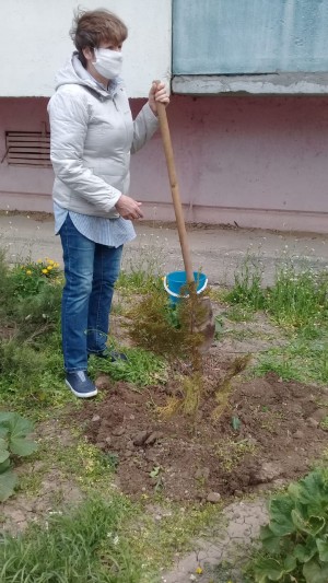 25 округ  День древонасаждения