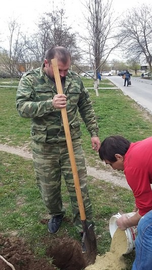 25 округ  День древонасаждения