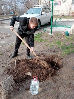 День древонасаждения в 10 округе 