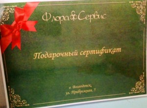 Округ №5  «Навстречу мечте»