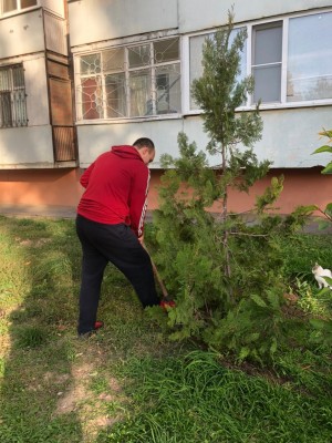 День древонасаждений в округе № 20 