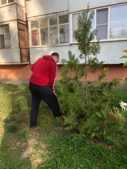 День древонасаждений в округе № 20 