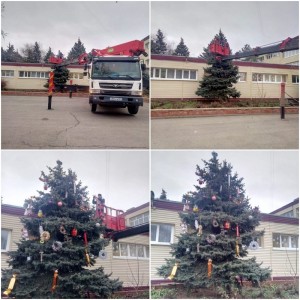 12 округ. Подготовка к Новому году