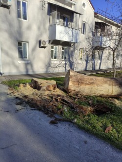 Первый округ  Вместе мы смогли
