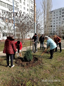 В округе №16 начались субботники