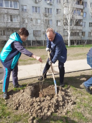 3 округ. День древонасаждения.