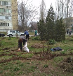 Округ 16: Месячник чистоты продолжается
