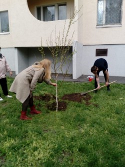 Субботники в 11 округе