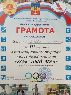 Спортивные достижения 10 округа