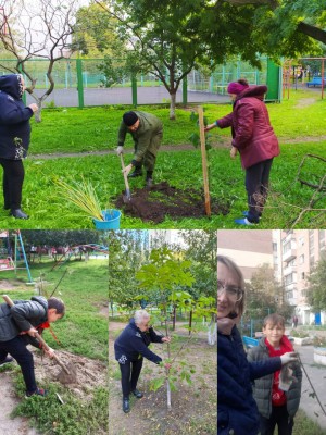 День древонасаждения в округе 16