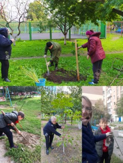 День древонасаждения в округе 16
