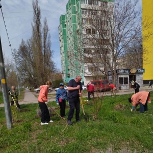 В округе №16 проведен субботник