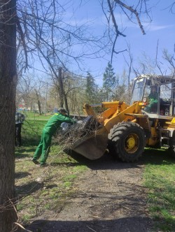 Первый округ   С любовью к скверу