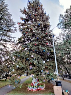 Первый округ   Красавица округа