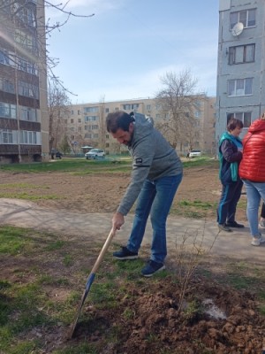 Алексей Брежнев принял участие в акции День древонасаждения