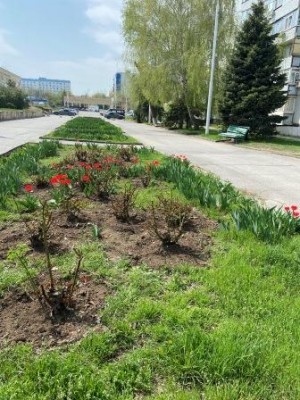 Округ 18. Итоги весеннего субботника