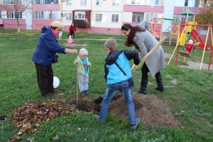 В 24 округе продолжается месячник по благоустройству