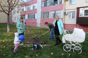 В 24 округе продолжается месячник по благоустройству