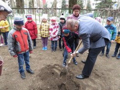 Акция  «ДЕРЕВО ПАМЯТИ» продолжается
