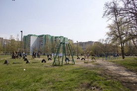 Волгодонцы впервые приняли участие в сдаче норм ГТО