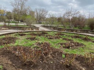 округ 18. Первый субботник в сквере 