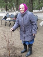 Акция  «ДЕРЕВО ПАМЯТИ» продолжается