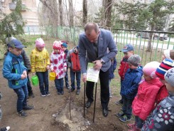 Акция  «ДЕРЕВО ПАМЯТИ» продолжается