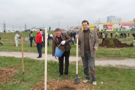 Депутаты городской Думы  приняли участие в Дне древонасаждений