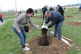 Депутаты городской Думы  приняли участие в Дне древонасаждений