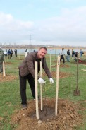 Депутаты городской Думы  приняли участие в Дне древонасаждений