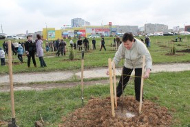 Депутаты городской Думы  приняли участие в Дне древонасаждений