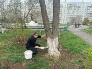 Округ 18. Сквер "Весна" готов встречать жителей города