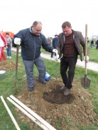 Депутаты городской Думы  приняли участие в Дне древонасаждений