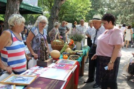 Социально-ориентированные некоммерческие организации Волгодонска презентовали себя в День города