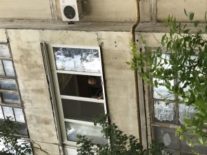 День Мира, День Победы в избирательном округе №15