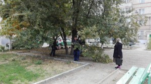 Уютный двор – дело всех, кто в нем живет