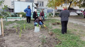Уютный двор – дело всех, кто в нем живет