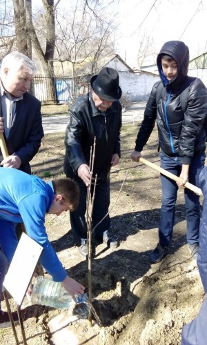 Продолжение акции " Дерево памяти"